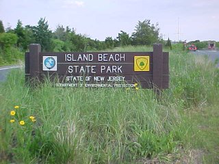 BIKING AT ISLAND BEACH STATE PARK