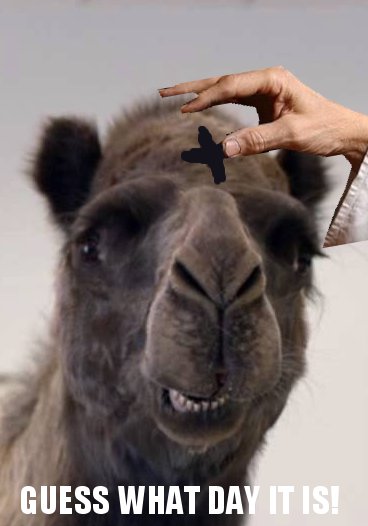 It's Ash Wednesday, camel.
