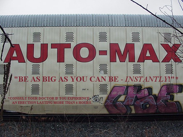 20070105automax