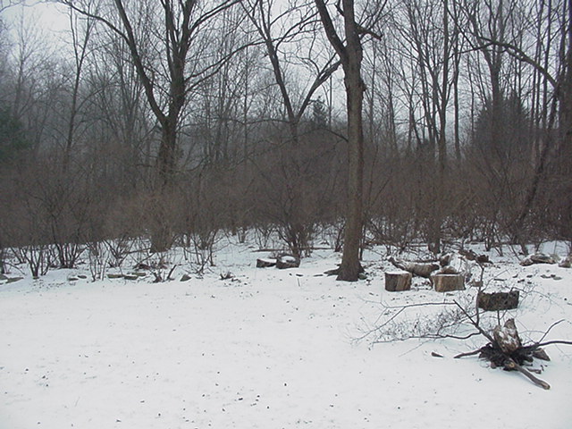 20070214snownewhouse002