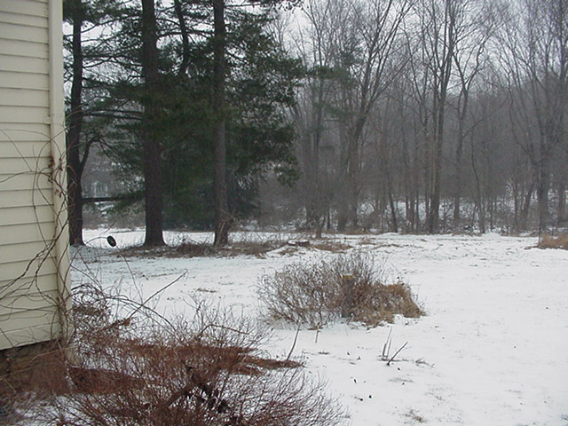 20070214snownewhouse003