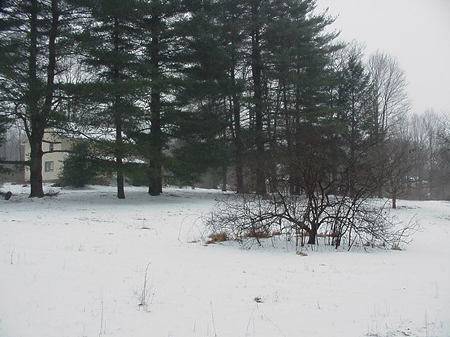 20070214snownewhouse012