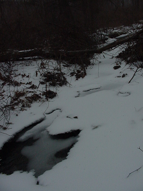 20070214snownewhouse016