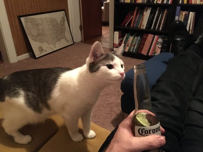 The downhill slide starts with the first sip, Francine.  Keep your vices in check, kitty.
