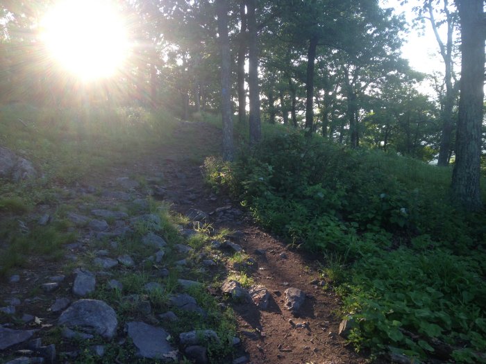The morning sun over the terminus of the blue blaze trail on the summit of Mt. Tammany (is that a skull on the trail??)