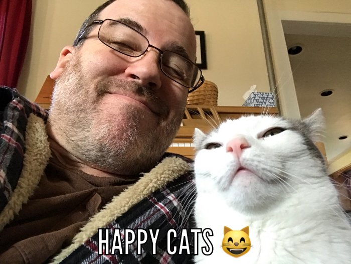 happy cats